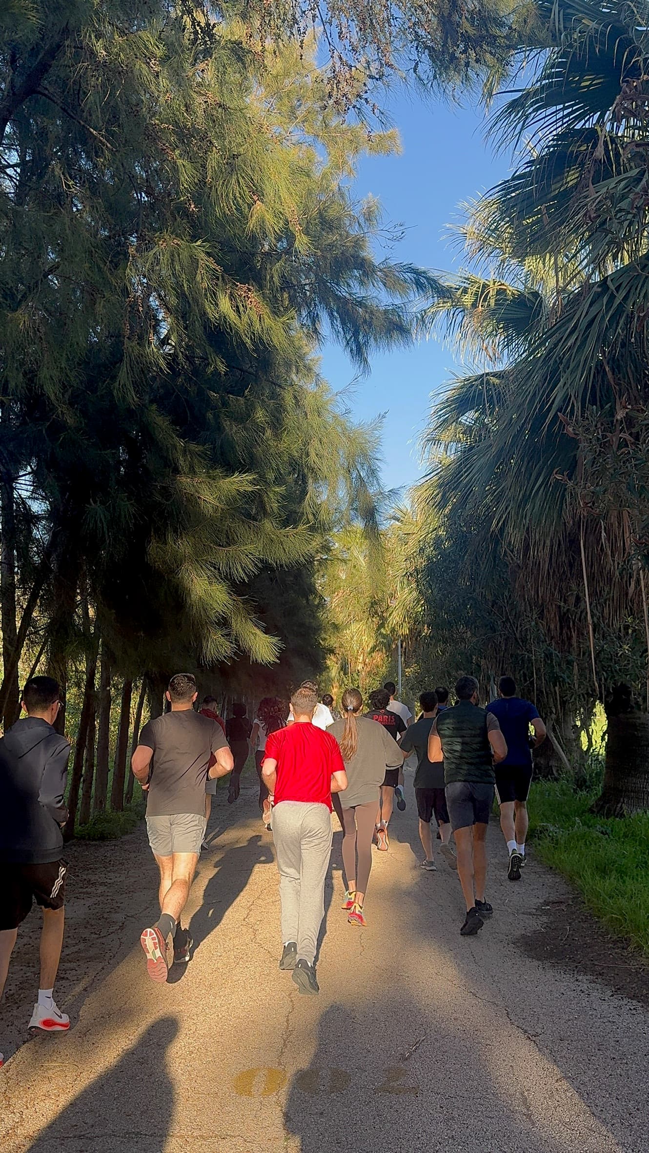 Runners jogging through a tree-lined path at Maarad